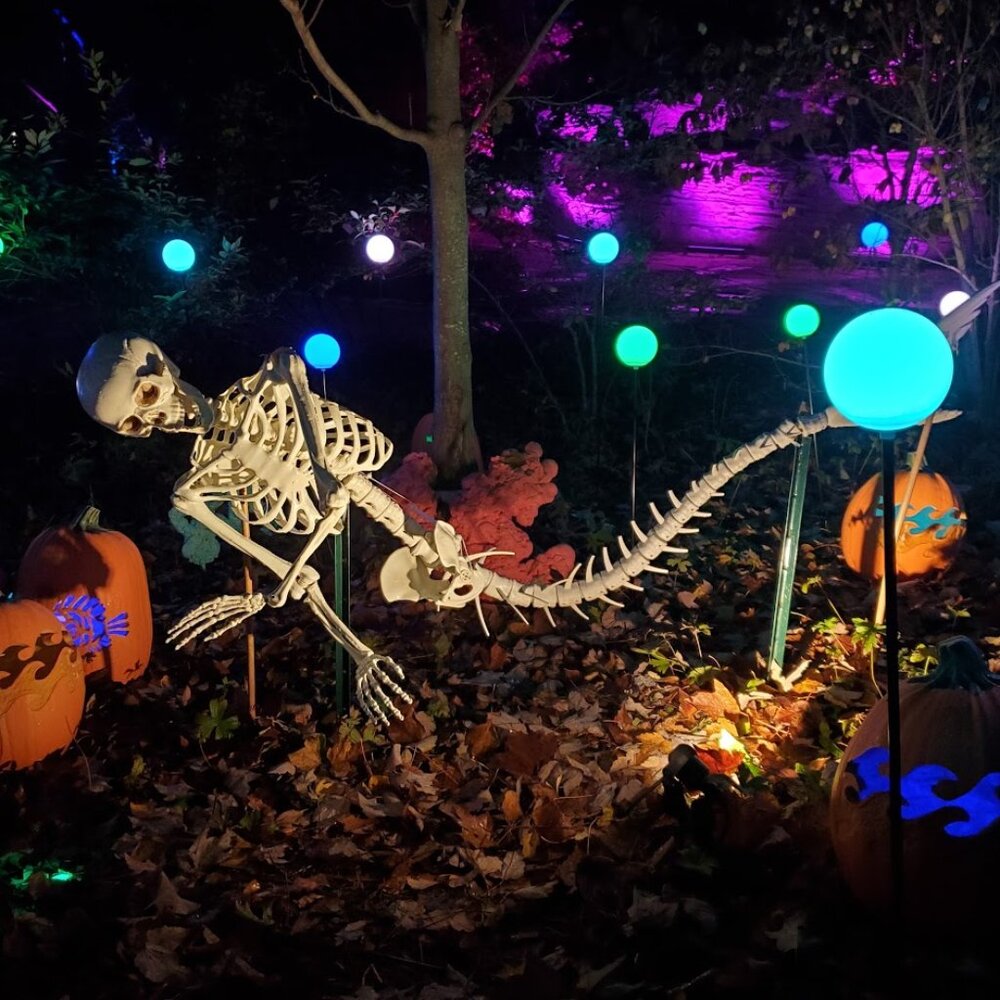 Meet your Posher, Jessi